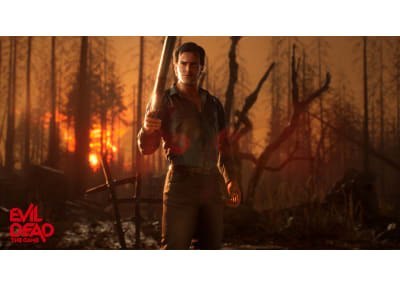 Evil Dead: The Game Sony PlayStation 4 (PS4)