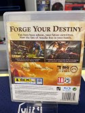 Kingdoms of Amalur: Reckoning PlayStation 3 (PS3)