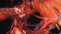 Final Fantasy XVI PlayStation 5 (PS5) pudełkowa