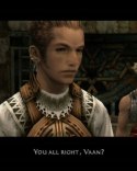 FINAL FANTASY XII PlayStation 2 (PS2)