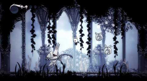 Hollow Knight Nintendo Switch
