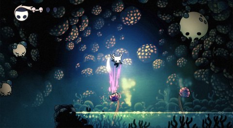 Hollow Knight Nintendo Switch