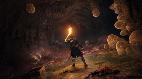 Bandai Namco Entertainment - Elden Ring - PS4 PlayStation 4 (PS4) pudełkowa