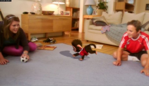 EyePet PlayStation 3 (PS3) pudełkowa