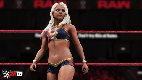 W2k18 PlayStation 4 (PS4) pudełkowa