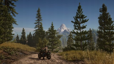 Days Gone PlayStation 4 (PS4)