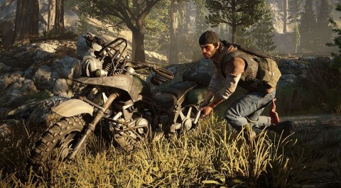 Days Gone PlayStation 4 (PS4)