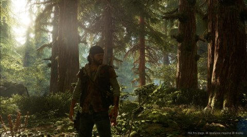 Days Gone PlayStation 4 (PS4)