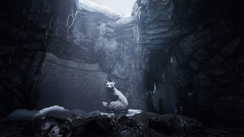 Spirit Of The North PS5 PlayStation 5 (PS5)