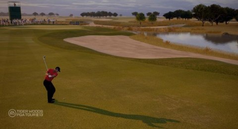Tiger Woods PGA Tour 13 PlayStation 3 (PS3)