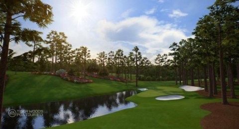 Tiger Woods PGA Tour 13 PlayStation 3 (PS3)