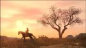 Red Dead Redemption (PS4) PlayStation 4 (PS4) pudełkowa