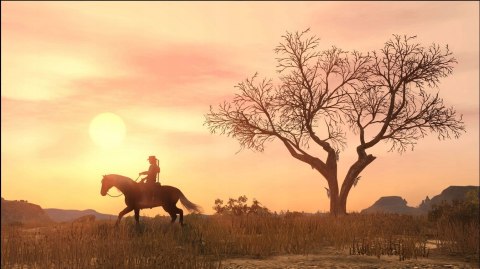 Red Dead Redemption (PS4) PlayStation 4 (PS4) pudełkowa