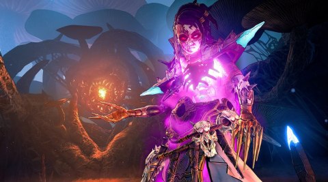 Tiny Tina's Wonderlands Next-Level Edition PlayStation 5 (PS5) pudełkowa