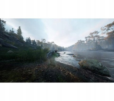 HUNTING SIMULATOR 2 PlayStation 5 (PS5) pudełkowa