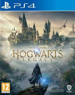 Hogwarts Legacy (PS4) PlayStation 4 (PS4) pudełkowa