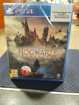 Hogwarts Legacy (PS4) PlayStation 4 (PS4) pudełkowa