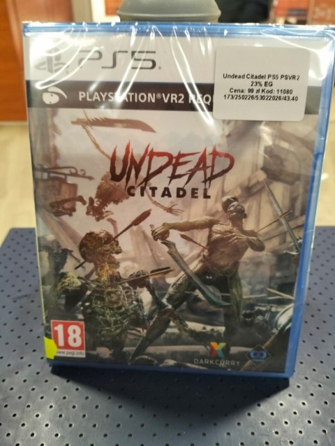 Undead Citadel PlayStation 5 (PS5) pudełkowa