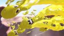 Splatoon 3 Nintendo Switch pudełkowa