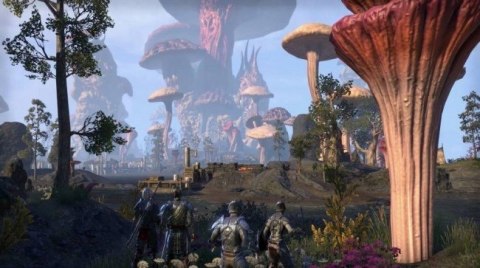 The Elder Scrolls Online: Morrowind PlayStation 4 (PS4) pudełkowa
