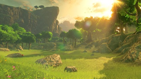 The Legend of Zelda: Breath of the Wild Nintendo Switch pudełkowa