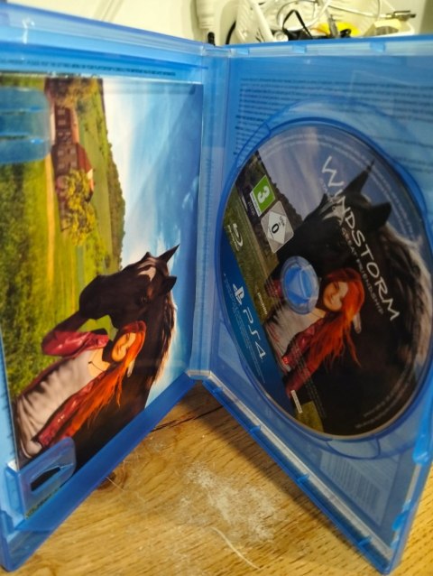 WINDSTORM: START OF A GREAT FRIENDSHIP PlayStation 4 (PS4) pudełkowa