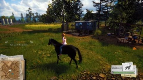 WINDSTORM: START OF A GREAT FRIENDSHIP PlayStation 4 (PS4) pudełkowa