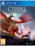 CITADEL Forged With Fire PlayStation 4 (PS4) pudełkowa