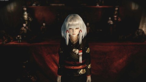 Fatal Frame: Maiden of Black Water PlayStation 4 (PS4) pudełkowa