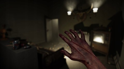 MADiSON Cursed Edition PSVR2 PlayStation 5 (PS5) pudełkowa