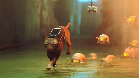 Stray PlayStation 4 (PS4) pudełkowa