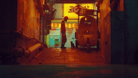 Stray PlayStation 4 (PS4) pudełkowa