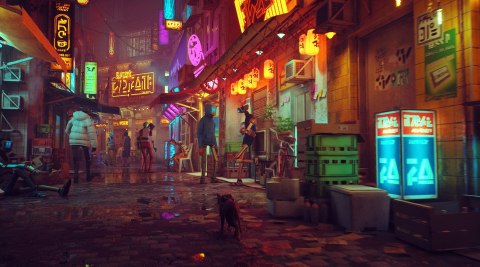 Stray PlayStation 4 (PS4) pudełkowa