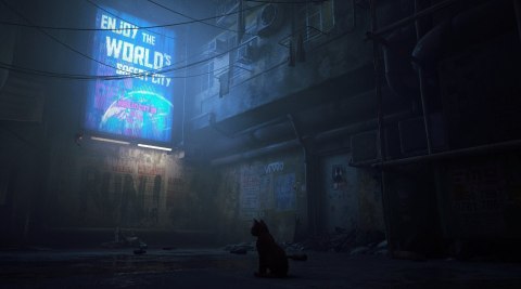 Stray PlayStation 4 (PS4) pudełkowa