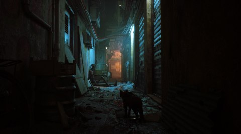 Stray PlayStation 4 (PS4) pudełkowa