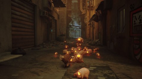 Stray PlayStation 4 (PS4) pudełkowa