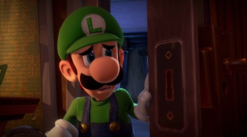 Luigis Mansion 3 Nintendo Switch pudełkowa