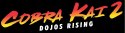 Cobra Kai 2 Dojos Rising PlayStation 5 (PS5) pudełkowa