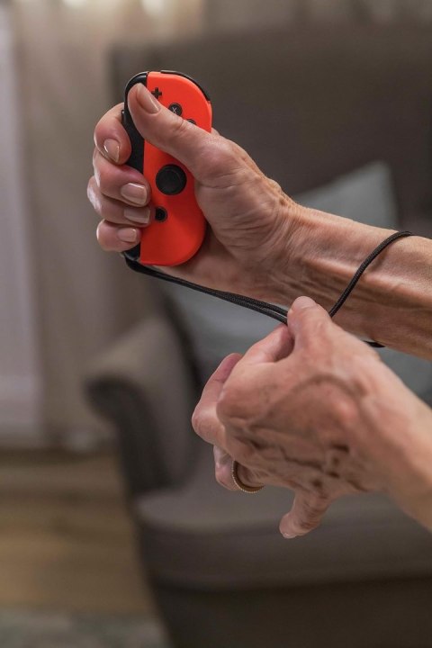 Everybody 1-2 Switch Nintendo Switch pudełkowa