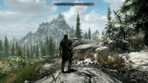 The Elder Scrolls V Skyrim Special Edition Xbox One pudełkowa