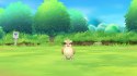 Pokemon Let's Go Eevee Nintendo Switch pudełkowa
