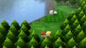 Pokémon Shining Pearl Nintendo Switch pudełkowa