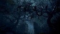 Resident Evil 4 Gold Edition (PS4) PlayStation 4 (PS4) pudełkowa