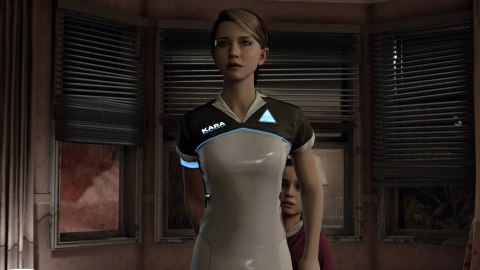 Detroit: Become Human PlayStation 4 (PS4) pudełkowa