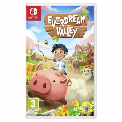 Everdream Valley Nintendo Switch pudełkowa