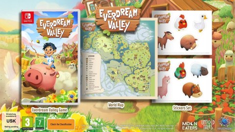 Everdream Valley Nintendo Switch pudełkowa