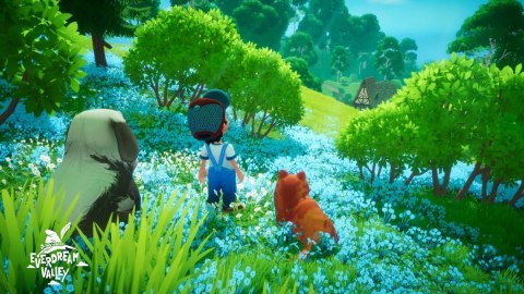 Everdream Valley Nintendo Switch pudełkowa