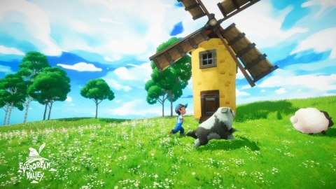 Everdream Valley Nintendo Switch pudełkowa
