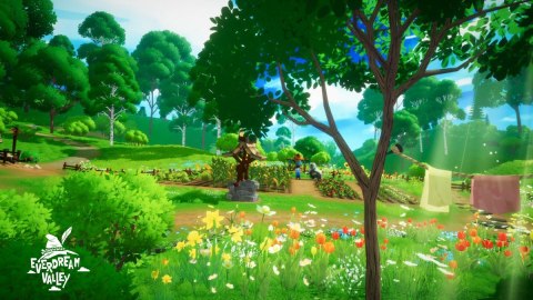 Everdream Valley Nintendo Switch pudełkowa
