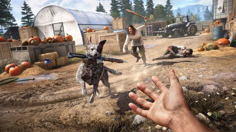 Ubisoft - Far Cry 5 - PS4 PlayStation 4 (PS4) pudełkowa